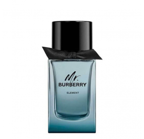 Burberry mr buberry element eau de toilette