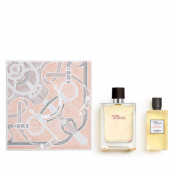 Hermès coffret terre d'hermès eau de toilette